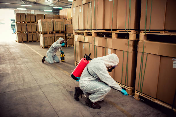 Best Termite Control Services  in Steelville, MO
