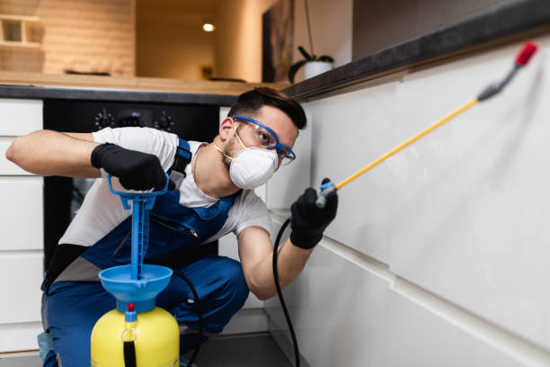 Best Commercial Pest Control Services  in Steelville, MO
