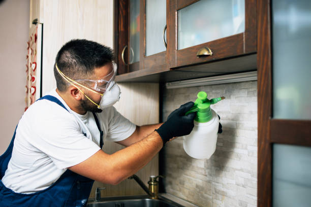Best Residential Pest Control  in Steelville, MO