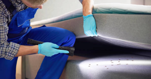 Best Pest Inspection Near Me  in Steelville, MO