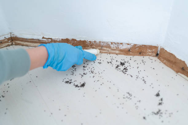 Best Exterminator Services  in Steelville, MO