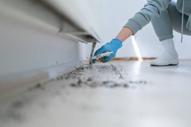 Best Wildlife Control Services  in Steelville, MO