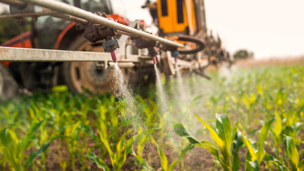 Professional Pest Control in Steelville, MO